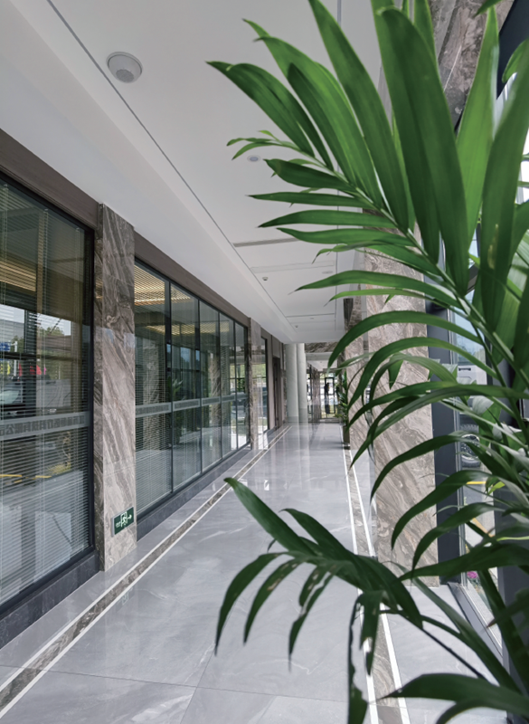 1767622817645514.png IMG_ba1c806dfd0d4d068b3f8890f741ae94_副本.png