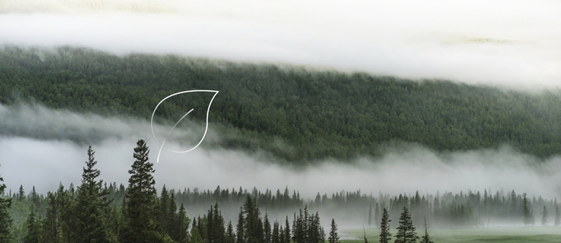 1767754228462504.jpg cccc_副本.jpg